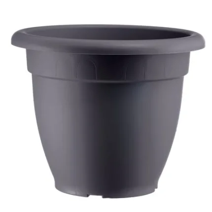 60390 large default.jpg
