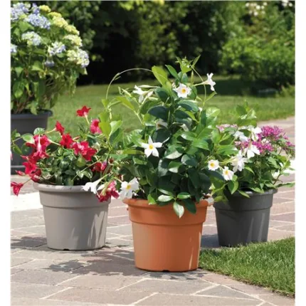 maceta redonda diametro 16cm terracota artplast