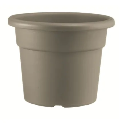 60437 large default.jpg