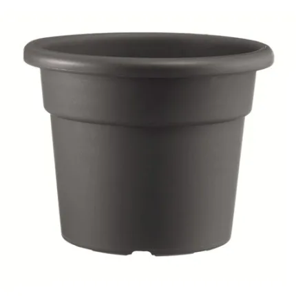 60447 large default.jpg